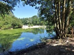 101PARC AUX OISEAUX DANS L AIN 2016 2_000049